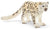 Schleich Snow Leopard - Treasure Island Toys