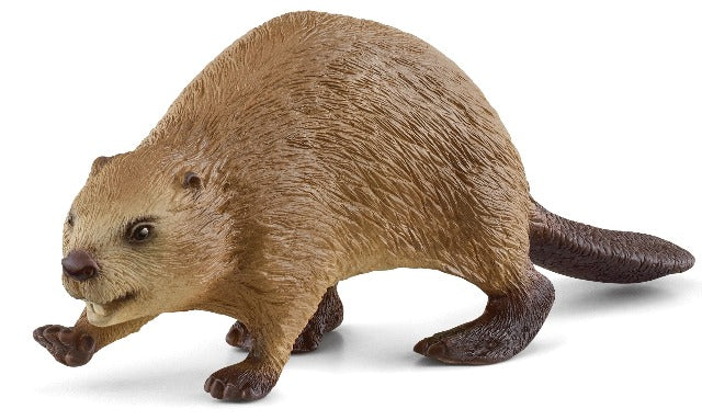 Schleich Beaver - Treasure Island Toys