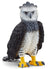 Schleich Harpy Eagle - Treasure Island Toys