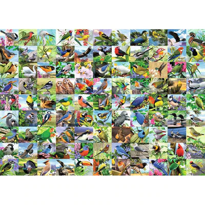 Ravensburger Puzzle 300 Piece, 99 Delightful Birds - Treasure Island Toys