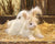 Folkmanis Puppet - Angora Rabbit - Treasure Island Toys