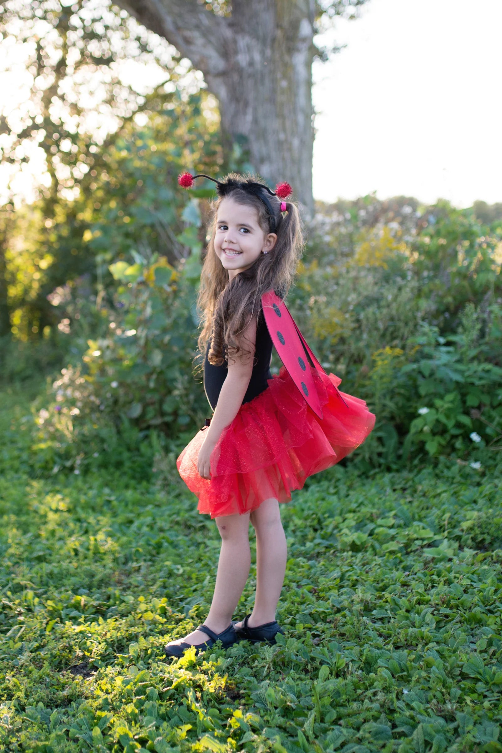 Great Pretenders Tutu - Glitter Ladybug with Wings & Headband - Treasure Island Toys