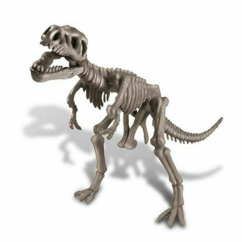 4M KidzLabs Dig a Dinosaur - Tyrannosaurus Rex - Treasure Island Toys