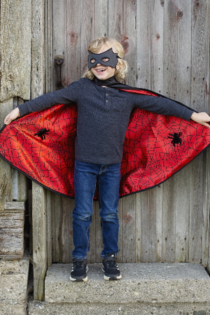 Great Pretenders Cape - Reversible Spider/Bat with Mask, Size 3-4 - Treasure Island Toys