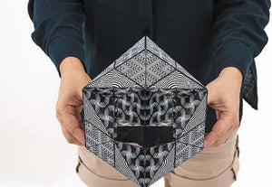 Shashibo Magnetic Puzzle - Treasure Island Toys