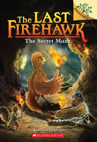 Branches Reader - Last Firehawk: 10 The Secret Maze - Treasure Island Toys