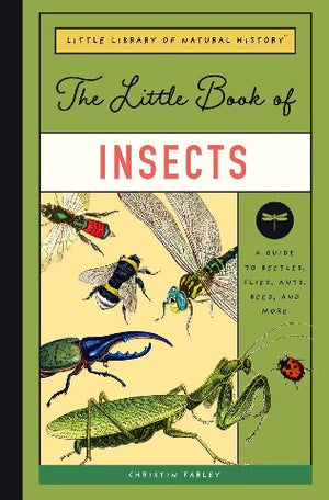 The Little Book of Insects - Treasure Island Toys