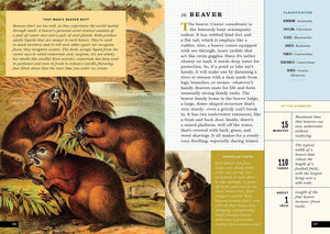 The Little Book of North American Mammals - Treasure Island Toys