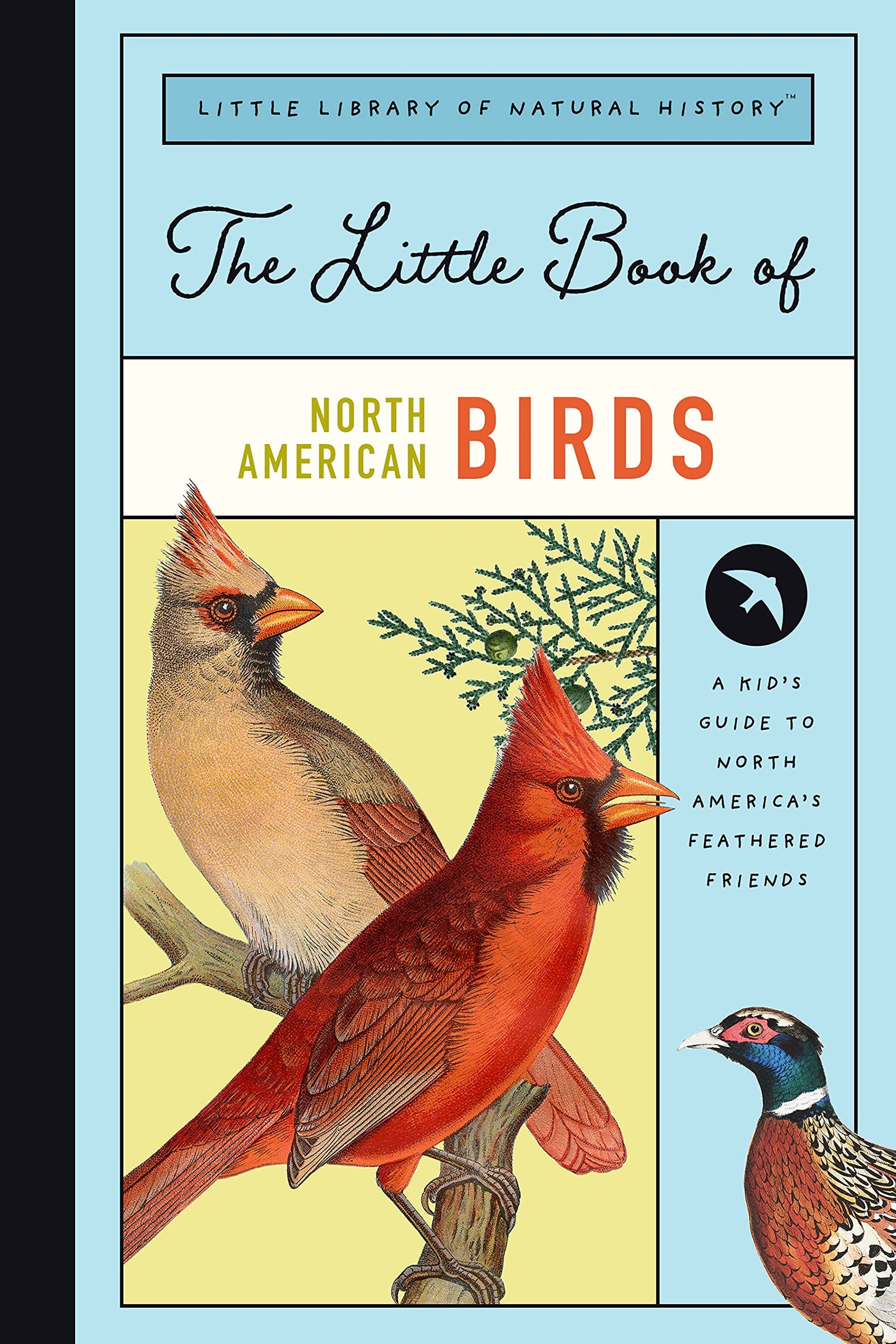 The Little Book of North American Birds - Treasure Island Toys