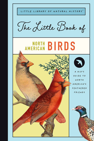 The Little Book of North American Birds - Treasure Island Toys