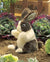 Folkmanis Puppet - Baby Dutch Rabbit - Treasure Island Toys