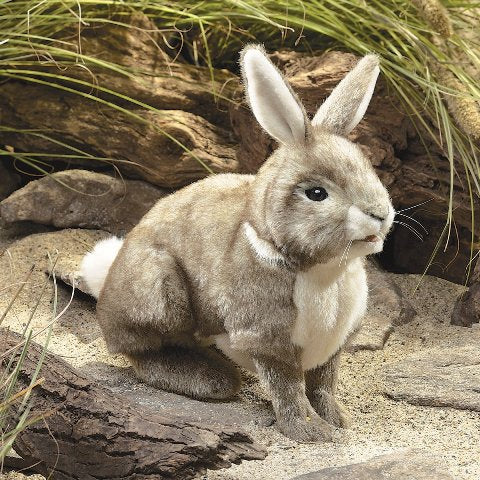 Folkmanis Puppet - Cottontail Rabbit - Treasure Island Toys