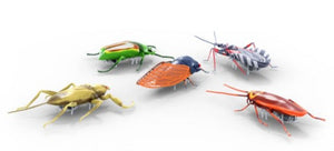 Hexbug Nano Real Bugs, 5 Pack - Treasure Island Toys