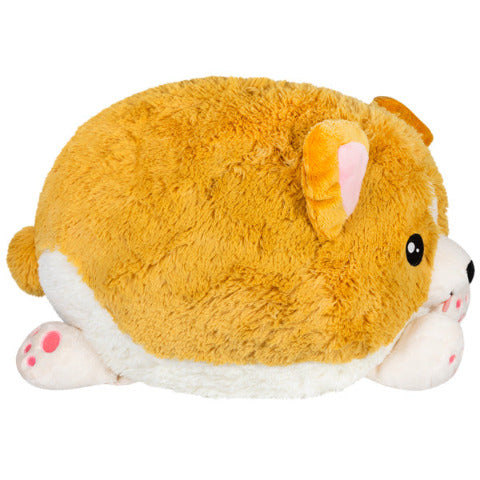 Squishable Baby Corgi - Treasure Island Toys