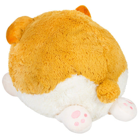 Squishable Baby Corgi - Treasure Island Toys