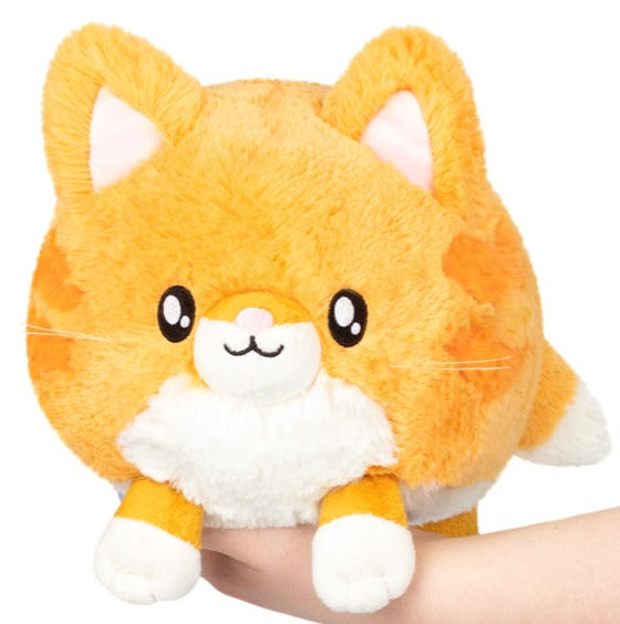 Squishable Mini Kitty - Treasure Island Toys