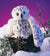 Folkmanis Puppet - Snowy Owl - Treasure Island Toys
