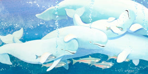Baby Beluga - Treasure Island Toys