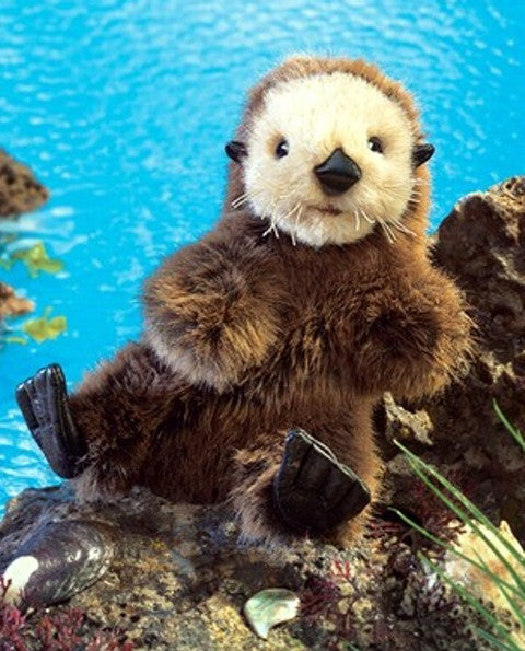 Folkmanis Puppet - Sea Otter Baby - Treasure Island Toys