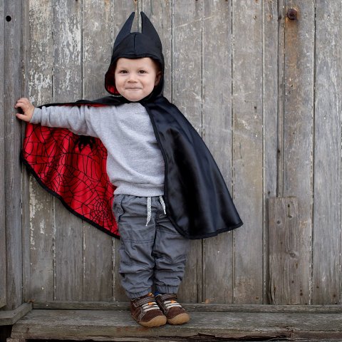 Great Pretenders Cape - Reversible Spider/Bat, Size 2-3 - Treasure Island Toys