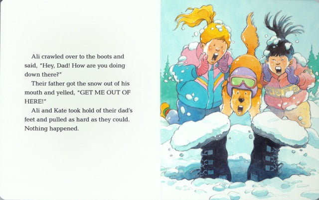 Deep Snow, Board Book - Treasure Island Toys