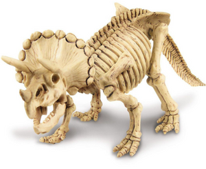 4M KidzLabs Dig a Dinosaur - Triceratops - Treasure Island Toys Toronto Ontario Canada