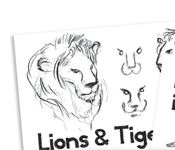 Eeboo Art - Book III Learn to Draw Animals - Treasure Island Toys