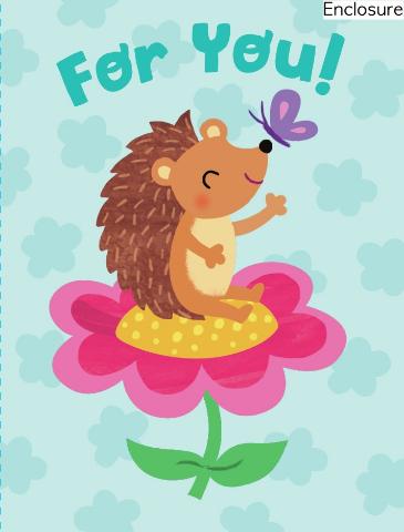 Greeting Card Enclosure - Hedgehog - Treasure Island Toys