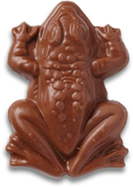 Harry Potter Chocolate Frog - Treasure Island Toys