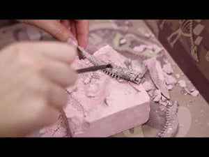 4M KidzLabs Dig a Dinosaur - Triceratops - Treasure Island Toys Toronto Ontario Canada