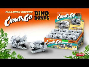 Chomp & Go Dino Bones