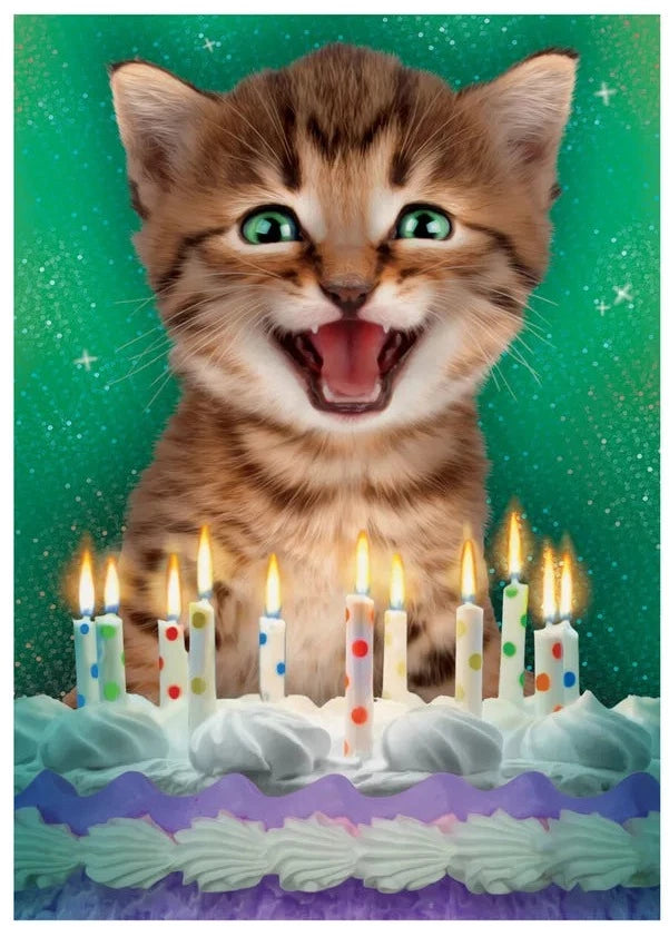 Greeting Card Birthday - Realistic Cat - Treasure Island Toys