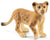 Schleich Lion Cub - Treasure Island Toys