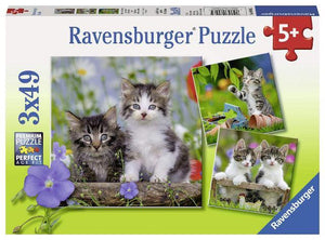 Ravensburger Puzzle 3 x 49 Piece, Cuddly Kittens - Treasure Island Toys