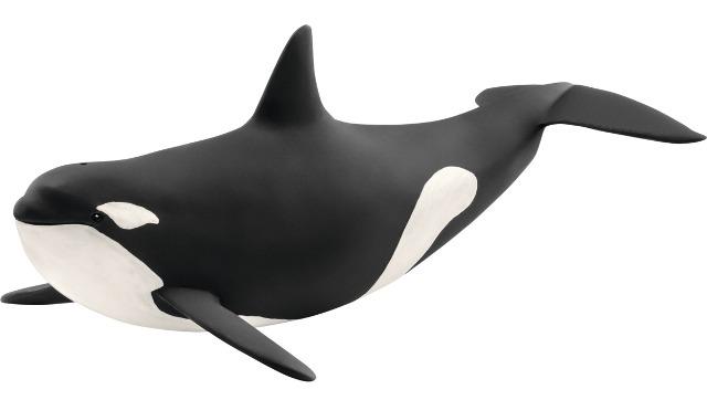 Schleich Killer Whale