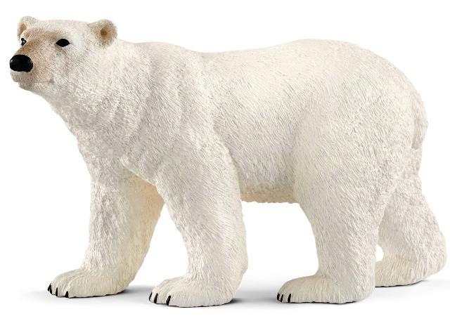 Schleich Polar Bear - Treasure Island Toys