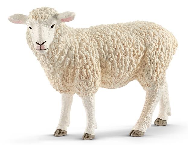 Schleich Sheep - Treasure Island Toys