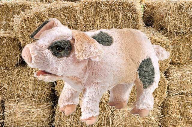 Folkmanis Puppet - Grunting Pig - Treasure Island Toys