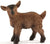 Schleich Goat Kid - Treasure Island Toys
