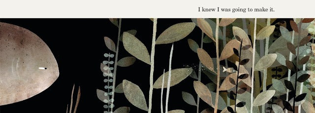 This is Not My Hat - Treasure Island Toys