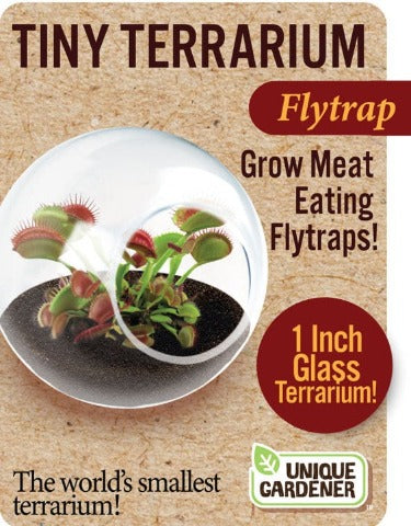 Tiny Terrariums Carnivorous - Treasure Island Toys